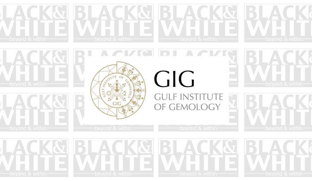 GIG MENA launches first online graduate Diamond Program in the GCC