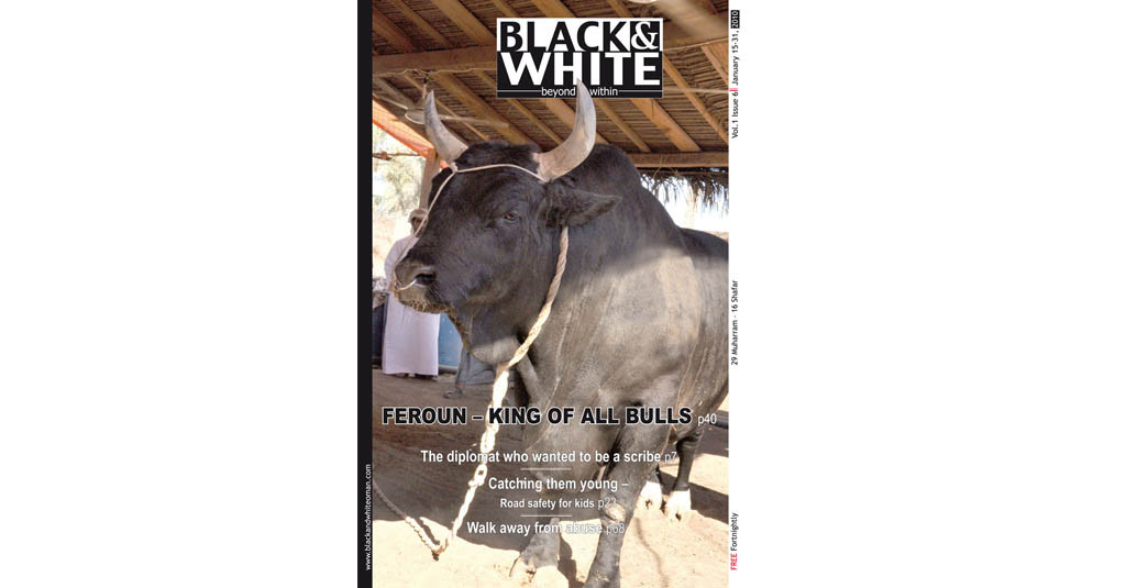 Issue-6-Feroun-bull-Jan-2010