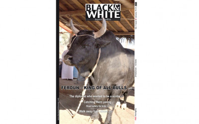 Issue-6-Feroun-bull-Jan-2010