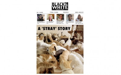 Issue-82-Stray-story-march-2019