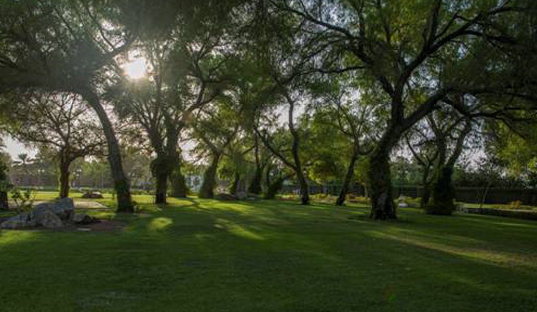 World Environment Day – Untouched, pristine beauty