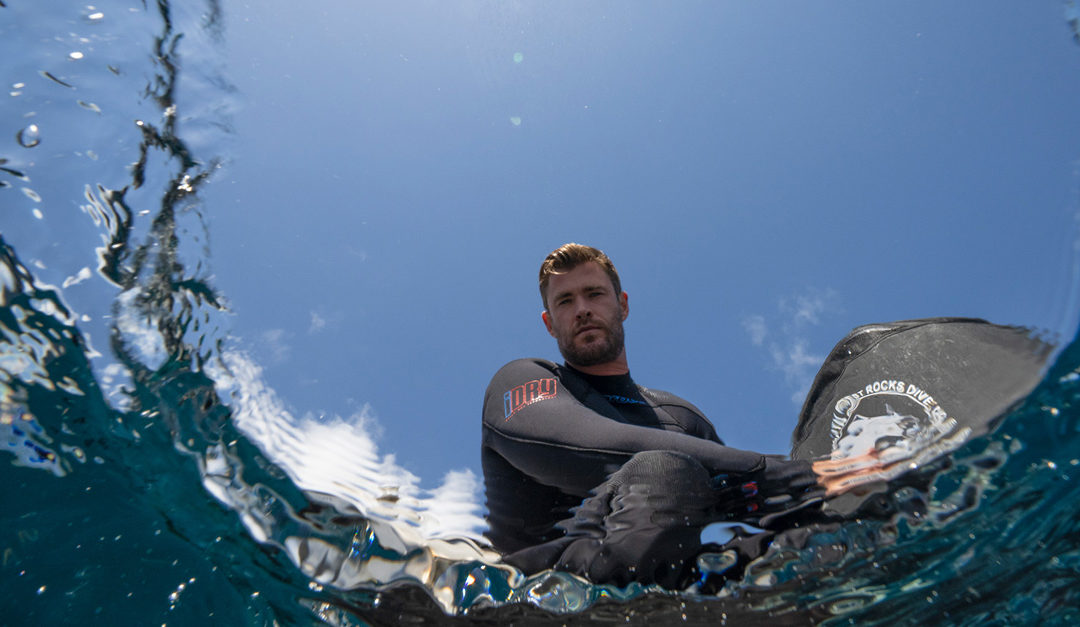 National Geographic announces largest Shark! Event