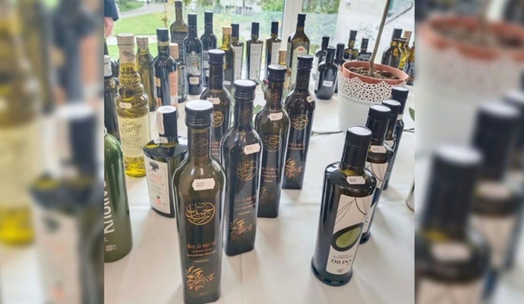 Omani olive oil bags third prize in a row in world contest
