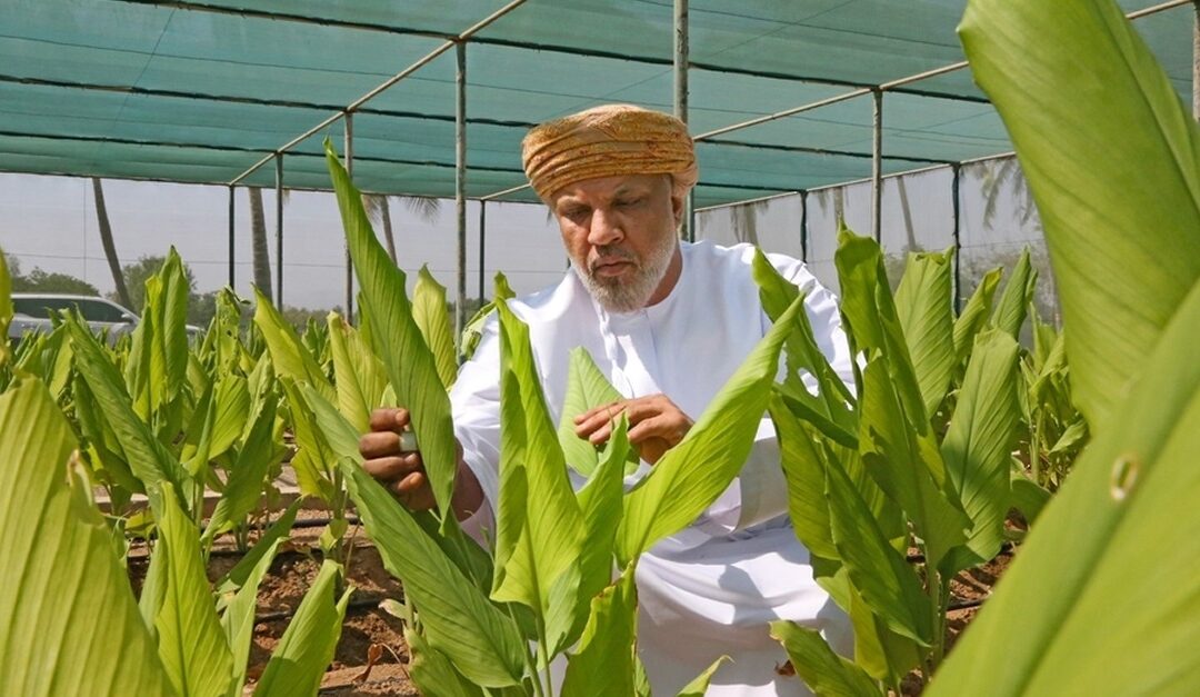 Seventh edition of Oman International Food Safety conference to begin on April 21
