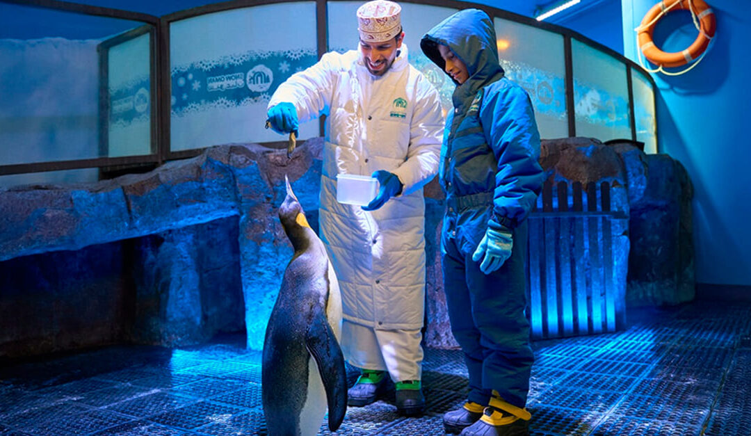 ‘Pengcredible’ adventure at Snow Oman