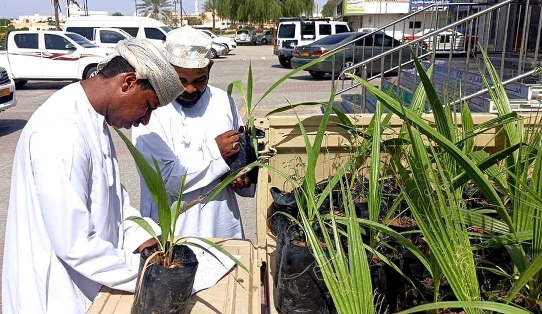 Environmental initiative launched in Ibra, Sinaw