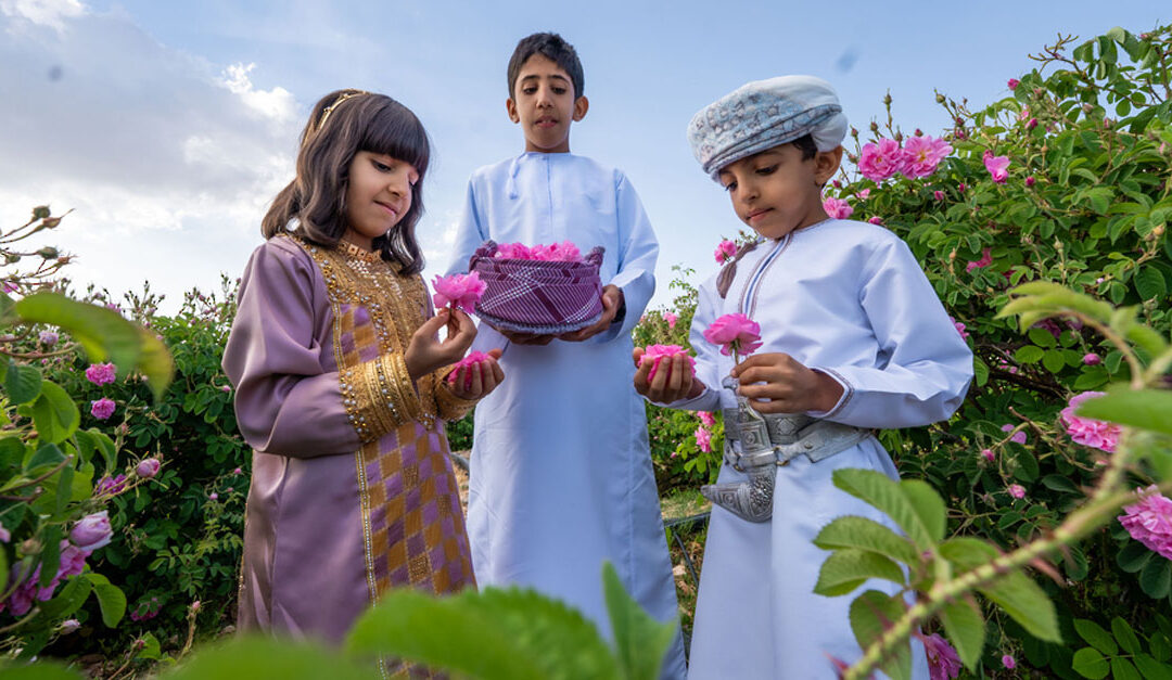Spring Rose Festival to start in A’Dakhiliyah Governorate on March 30