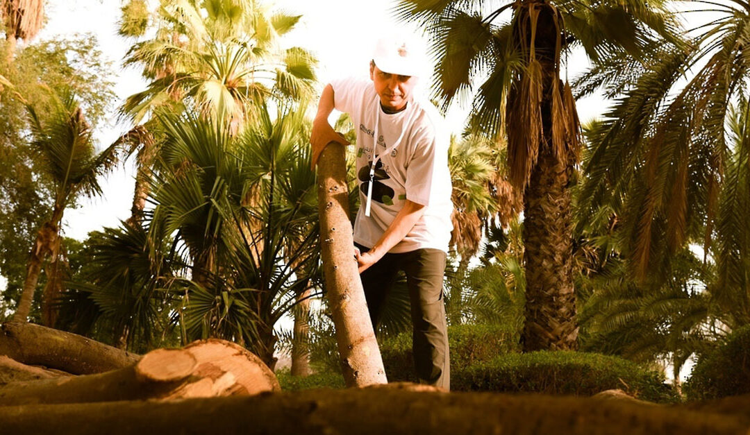 Art and Place brings together Omani, International artists