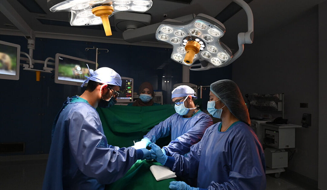 Oman marks World Health Day, affirms commitment to health innovation