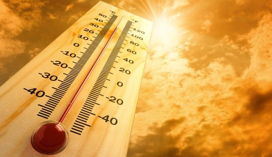 Simple, beat the heat tips