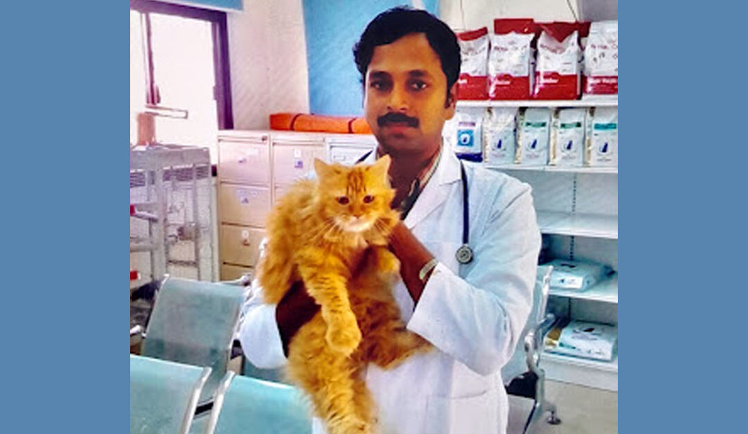Desperate, voiceless, strays languishing in the summer heat need a helping hand: top veterinarian