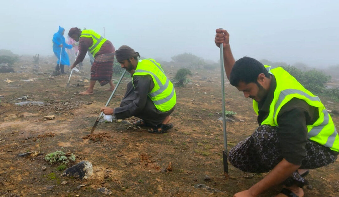 Environment Authority implements campaign to plant 4 million seeds of local trees in Dhofar Governorate
